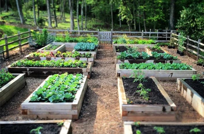 Person building a wooden raised garden bed with tools and materials