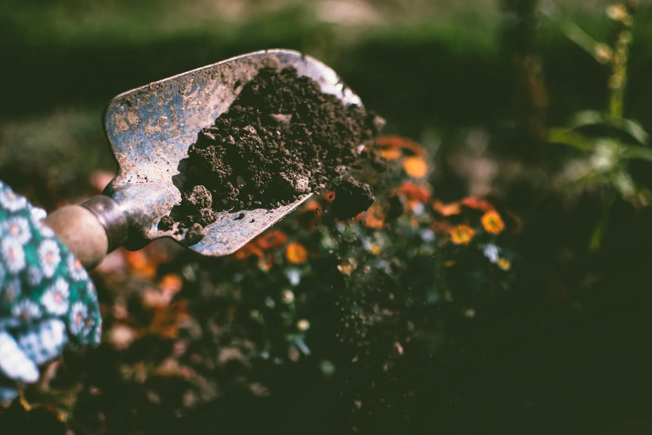 Gardening Trends 2025