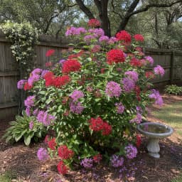 Pentas