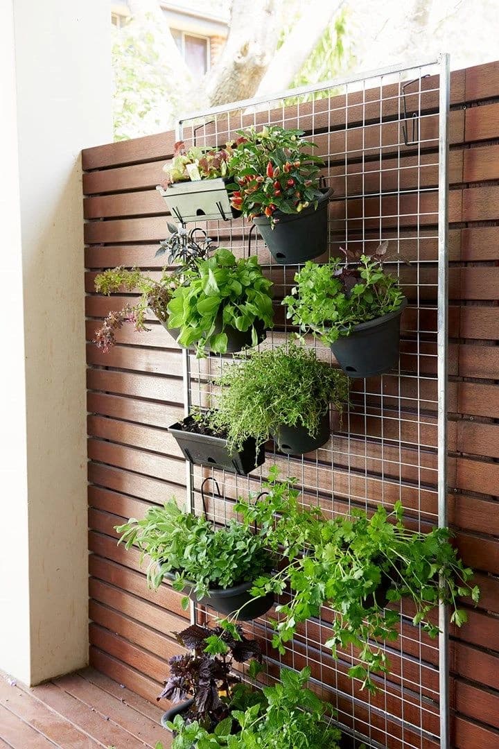 Stunning vertical garden wall with cascading plants and climbing vines
