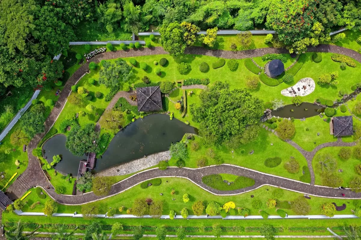 Garden Investments That Actually Increase Your Home's Value