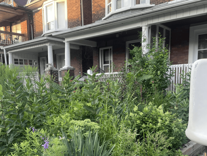 Garden before using Gardenly